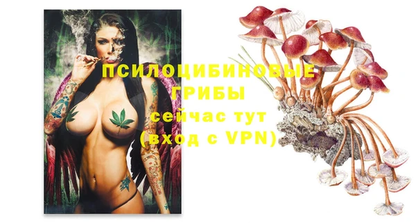 бошки Алексеевка