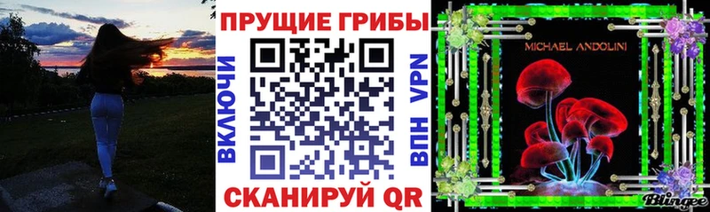 Псилоцибиновые грибы Psilocybe  Сокол 
